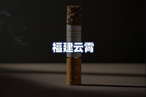 福建云霄